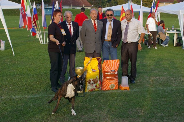 www.boxer-show.eu